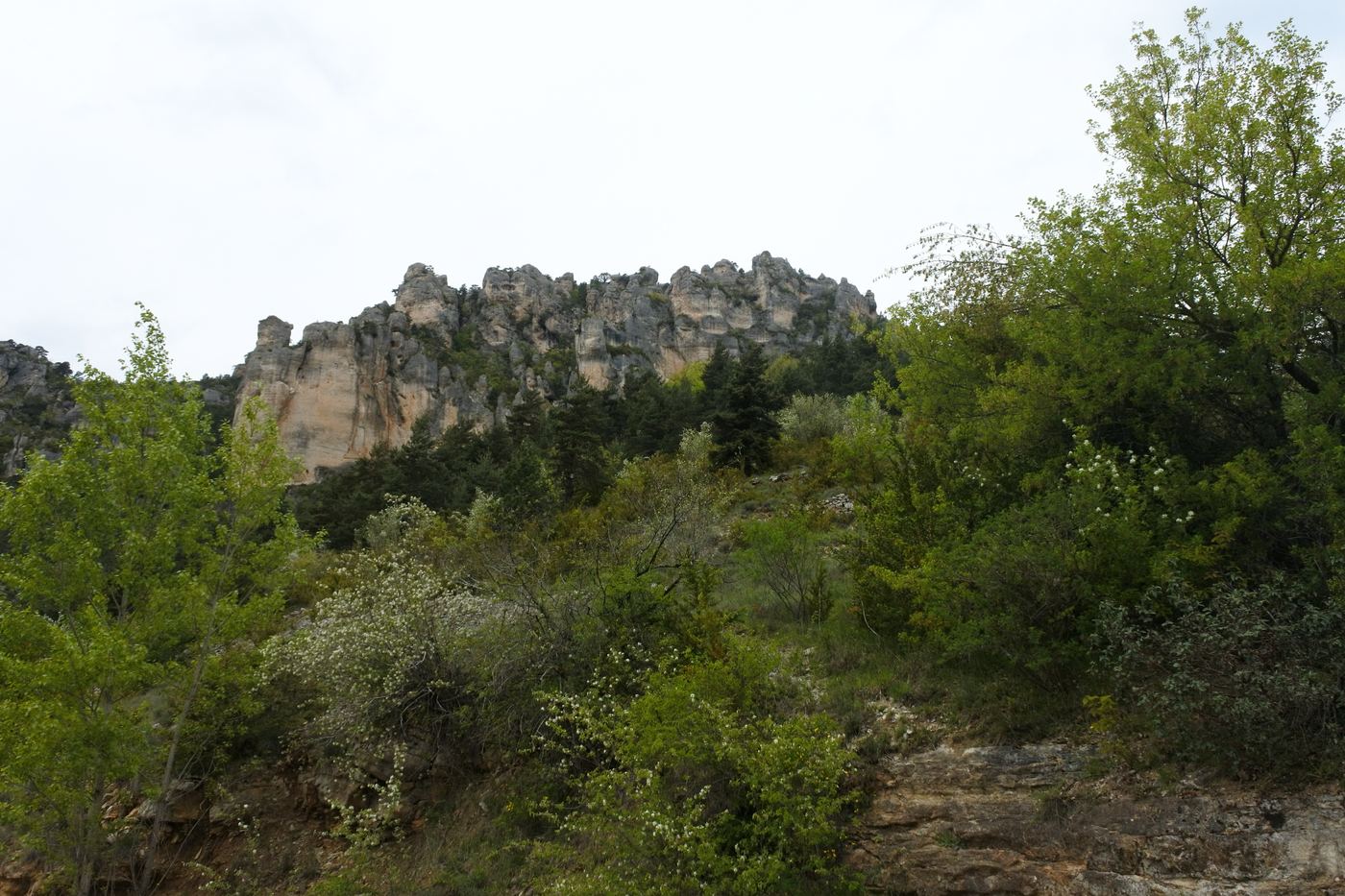 Vue d’ensemble du lieu de prise de vue
